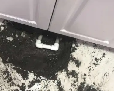 西盟查漏水哪家好