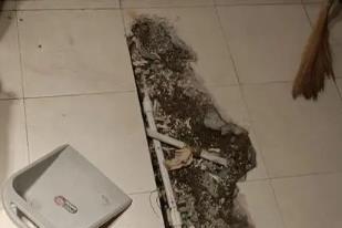 西盟卫生间漏水检测电话